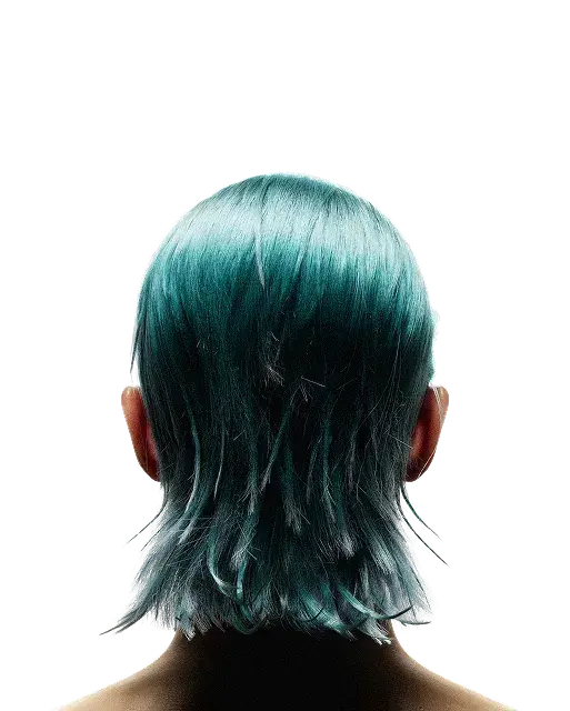 head